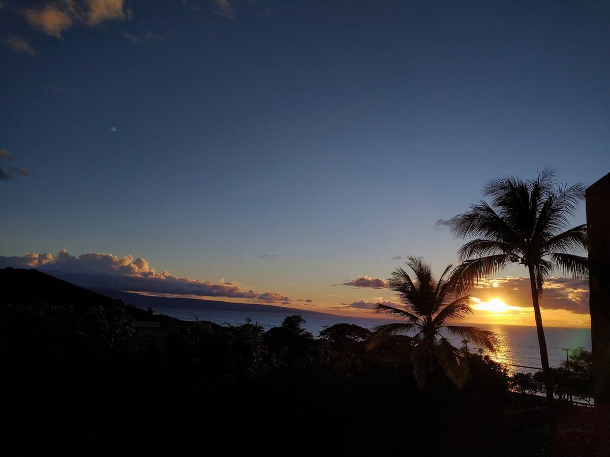 Mai Hopohopo photo 19